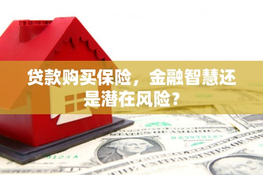秦皇岛贷款购买保险，金融智慧还是潜在风险？