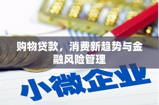 秦皇岛购物贷款，消费新趋势与金融风险管理