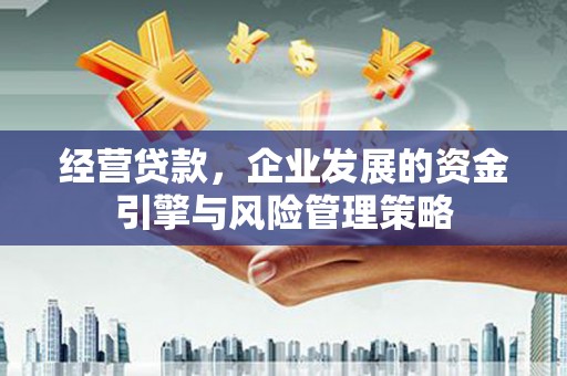 秦皇岛经营贷款，企业发展的资金引擎与风险管理策略