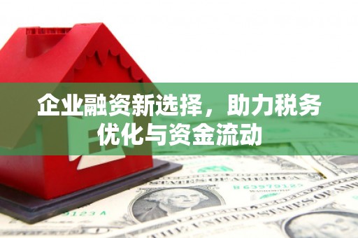 秦皇岛企业融资新选择，助力税务优化与资金流动