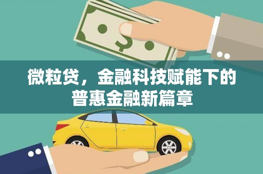 秦皇岛微粒贷，金融科技赋能下的普惠金融新篇章