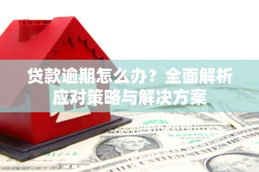 秦皇岛贷款逾期怎么办？全面解析应对策略与解决方案