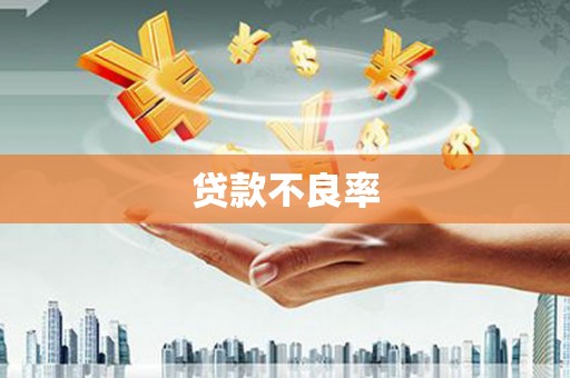 秦皇岛贷款不良率