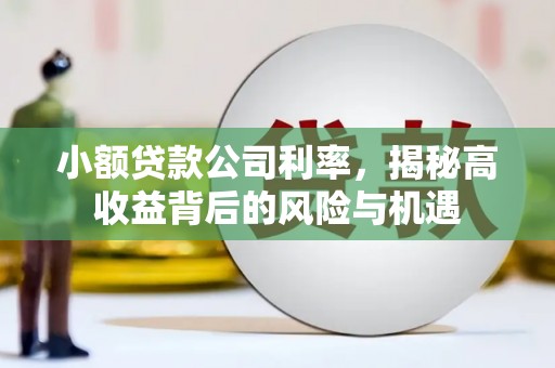 秦皇岛小额贷款公司利率，揭秘高收益背后的风险与机遇
