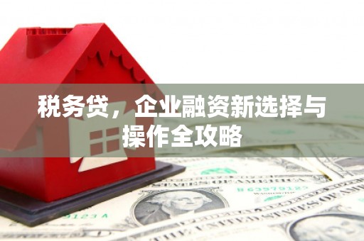 秦皇岛税务贷，企业融资新选择与操作全攻略