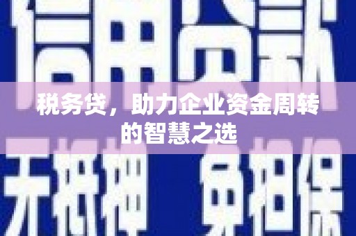秦皇岛税务贷，助力企业资金周转的智慧之选