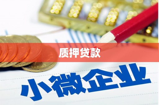 秦皇岛质押贷款