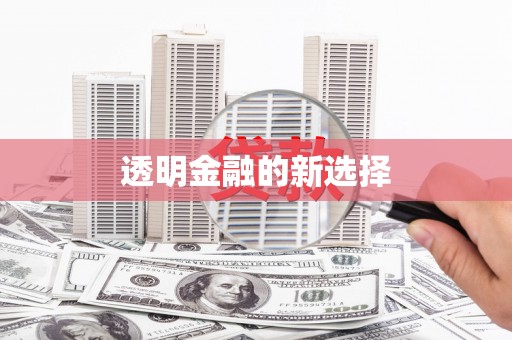 秦皇岛透明金融的新选择