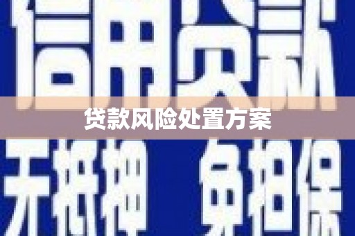 秦皇岛贷款风险处置方案