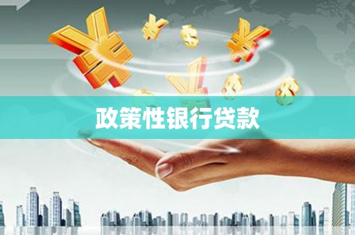 秦皇岛政策性银行贷款