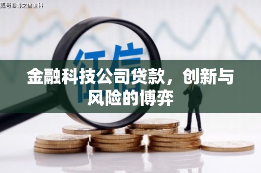秦皇岛金融科技公司贷款，创新与风险的博弈