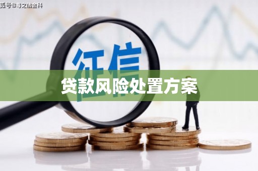 秦皇岛贷款风险处置方案