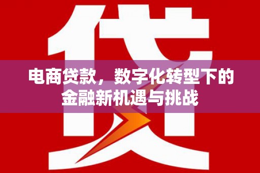 秦皇岛电商贷款，数字化转型下的金融新机遇与挑战