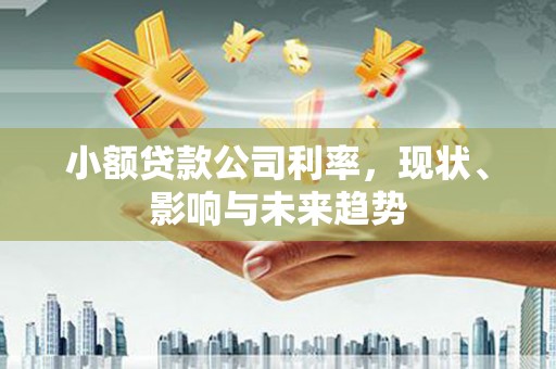 秦皇岛小额贷款公司利率，现状、影响与未来趋势