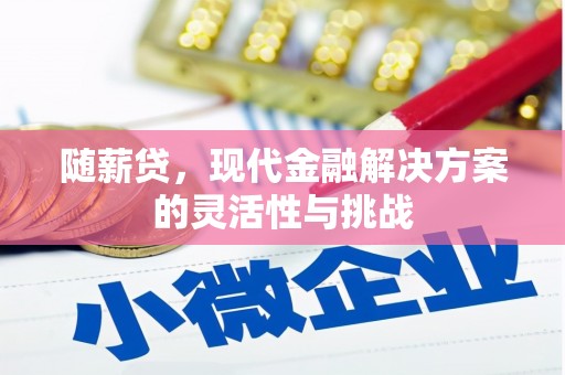 秦皇岛随薪贷，现代金融解决方案的灵活性与挑战