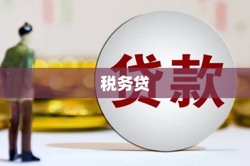 秦皇岛税务贷