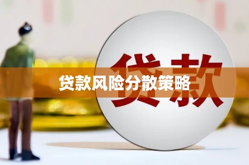 秦皇岛贷款风险分散策略