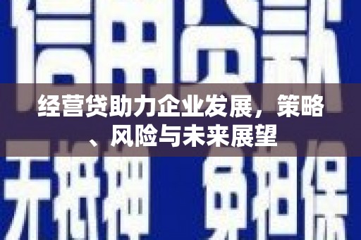 秦皇岛经营贷助力企业发展，策略、风险与未来展望