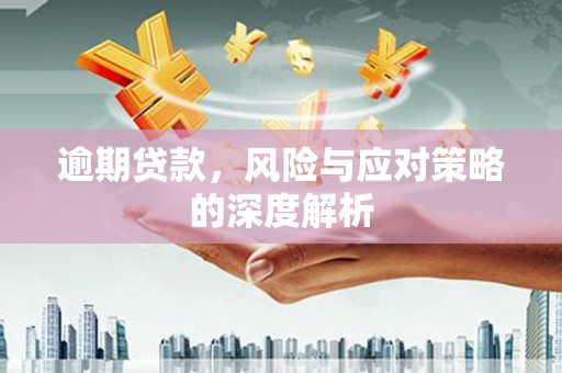 秦皇岛逾期贷款，风险与应对策略的深度解析