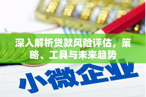 秦皇岛深入解析贷款风险评估，策略、工具与未来趋势