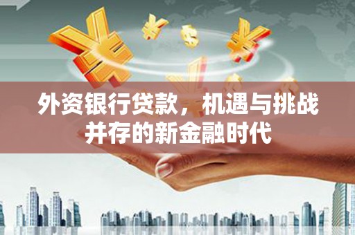 秦皇岛外资银行贷款，机遇与挑战并存的新金融时代