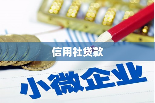 秦皇岛信用社贷款