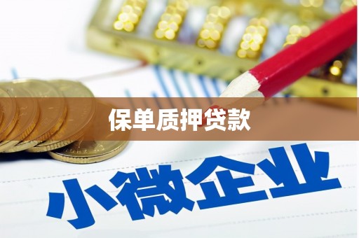 秦皇岛保单质押贷款