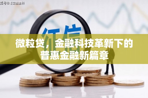 秦皇岛微粒贷，金融科技革新下的普惠金融新篇章