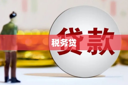 秦皇岛税务贷