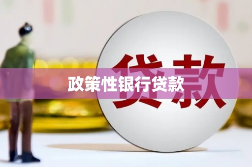 秦皇岛政策性银行贷款