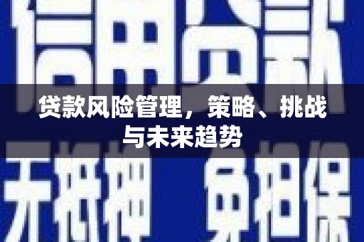 秦皇岛贷款风险管理，策略、挑战与未来趋势