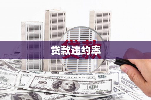 秦皇岛贷款违约率