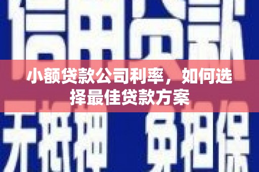 秦皇岛小额贷款公司利率，如何选择最佳贷款方案