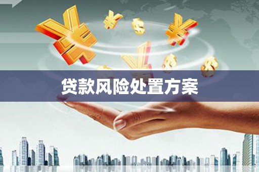 秦皇岛贷款风险处置方案