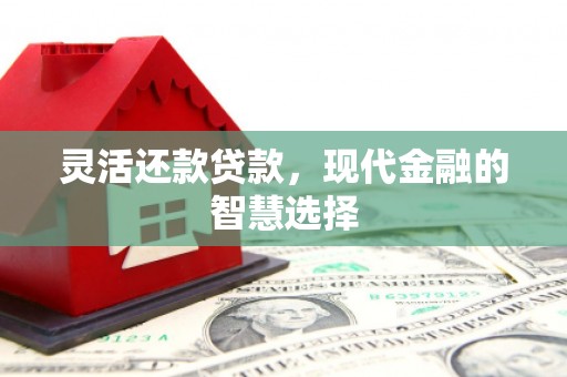 秦皇岛灵活还款贷款，现代金融的智慧选择