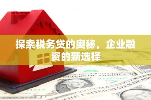 秦皇岛探索税务贷的奥秘，企业融资的新选择