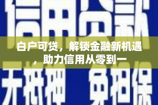 秦皇岛白户可贷，解锁金融新机遇，助力信用从零到一