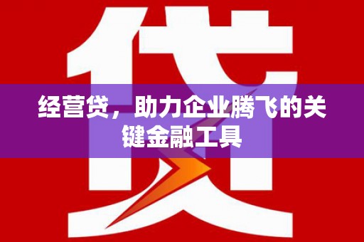 秦皇岛经营贷，助力企业腾飞的关键金融工具
