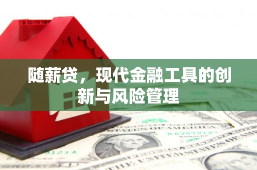 秦皇岛随薪贷，现代金融工具的创新与风险管理