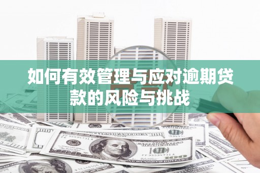 秦皇岛如何有效管理与应对逾期贷款的风险与挑战