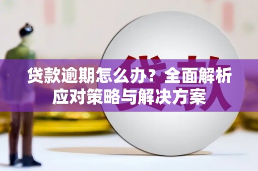 秦皇岛贷款逾期怎么办？全面解析应对策略与解决方案