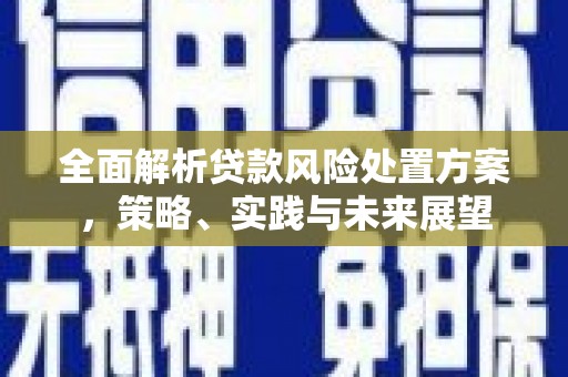 秦皇岛全面解析贷款风险处置方案，策略、实践与未来展望