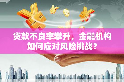 秦皇岛贷款不良率攀升，金融机构如何应对风险挑战？