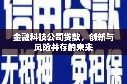 秦皇岛金融科技公司贷款，创新与风险并存的未来