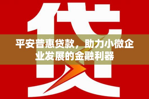 秦皇岛平安普惠贷款，助力小微企业发展的金融利器