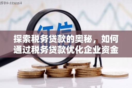 秦皇岛探索税务贷款的奥秘，如何通过税务贷款优化企业资金流