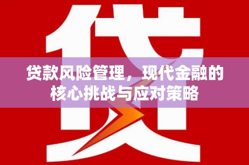 秦皇岛贷款风险管理，现代金融的核心挑战与应对策略