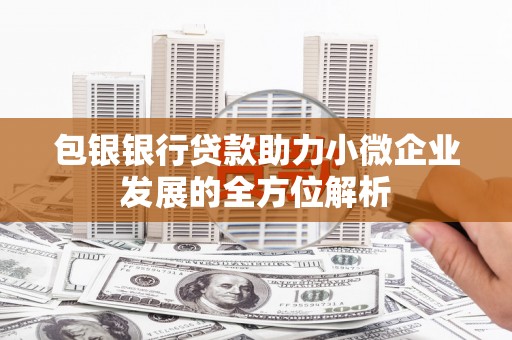秦皇岛包银银行贷款助力小微企业发展的全方位解析