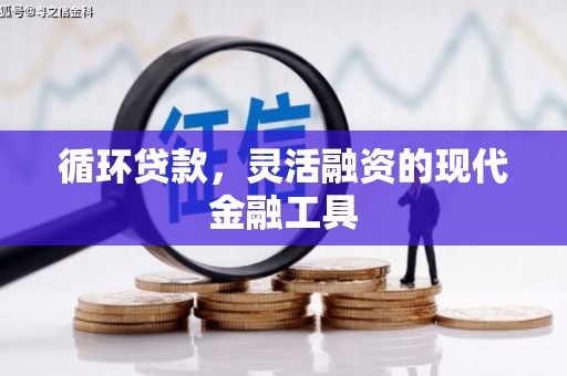 秦皇岛循环贷款，灵活融资的现代金融工具