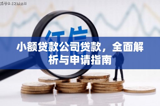 秦皇岛小额贷款公司贷款，全面解析与申请指南